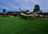 d990275f.jpg